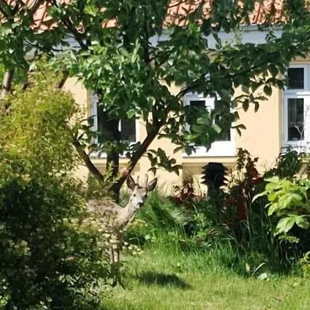 ホテル ペピータ 2*