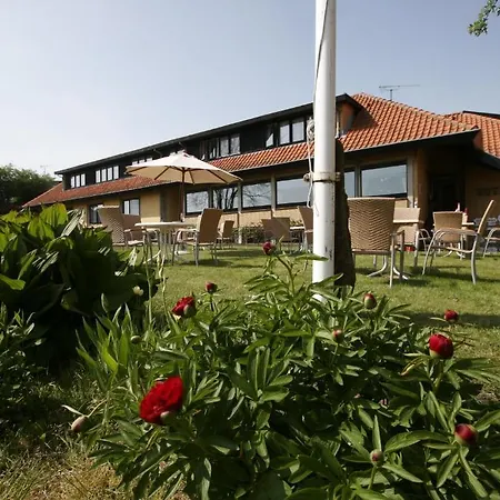 ペピータ 2* アリンエ