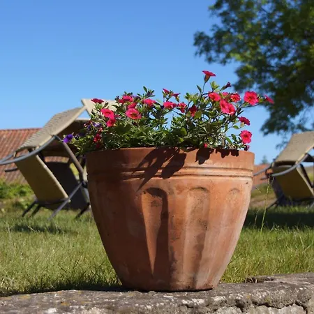 Pepita Hotel
